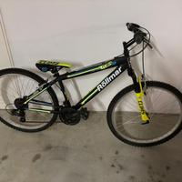 Bicicletta Röllmar Climb 26’’