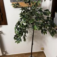 Ficus artificiale con vaso in plastica