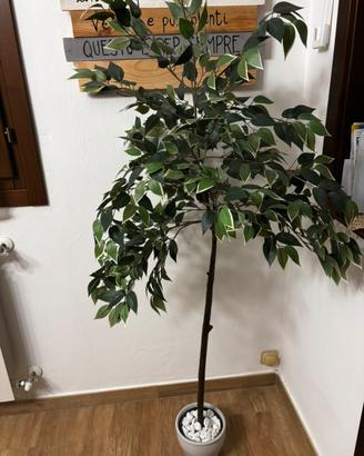 Ficus artificiale con vaso in plastica