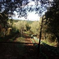 Terreno agricolo con casa di campagna