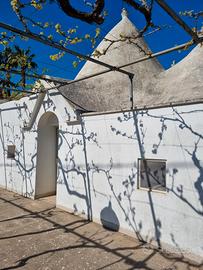 Tipico trullo PUTIGNANO