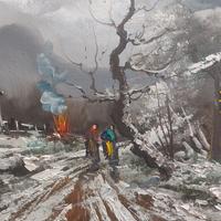 Paesaggio invernale alpino -Olio su tela-