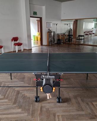 Tavolo da Ping Pong