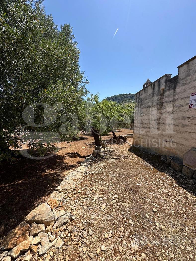 Terreno Agricolo Ostuni [Cod. rif 3234970VCG] - Vista 2