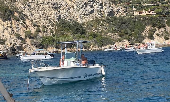 WHITE SHARK 215 - YAMAHA F200 XCB (nuovo 2024)