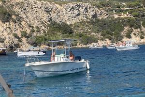 WHITE SHARK 215 - YAMAHA F200 XCB (nuovo 2024)