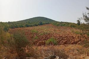 Terreno agricolo giba loc su solu