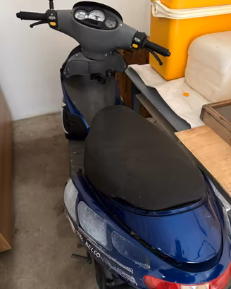 Benelli 491