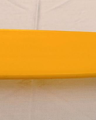 Penny Board Skateboard