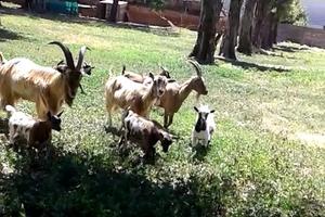 Terreno servito indipendente