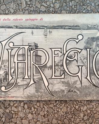 cartolina di Viareggio 