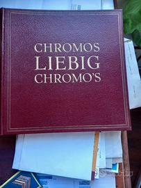 collezione 54 Chromo LIEBIG BELGIO 