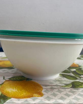 Contenitore Tupperware