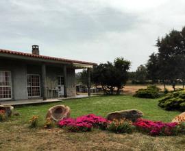 Villa - Trinità d'Agultu e Vignola