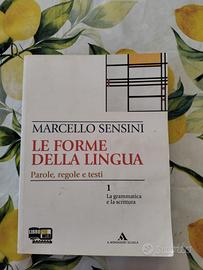 libro di grammatica 