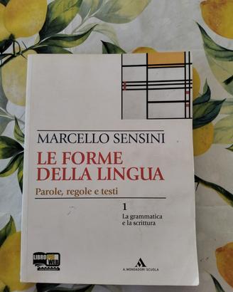 libro di grammatica 