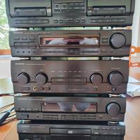 Kenwood perla nera