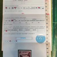 Francobollo Gronchi rosa 