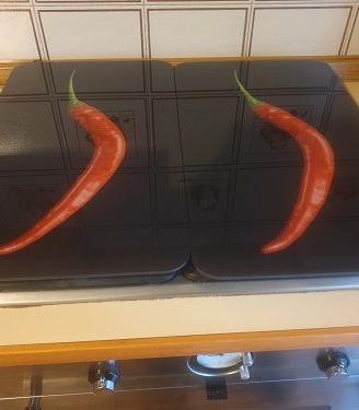 Copri  fornelli in Vetro