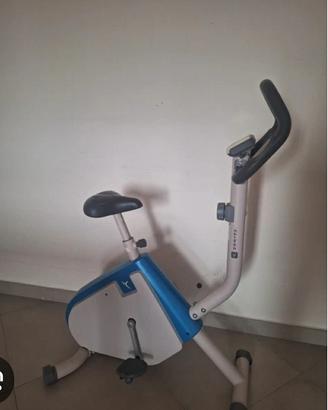 palestra 