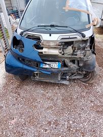 smart incincidentata