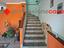 Immagine 16