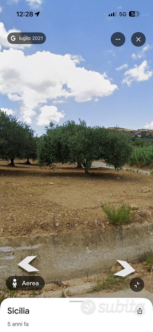 Terreno mokarta salemi 3,40 Ett 300 piante uliveto - Vista 4