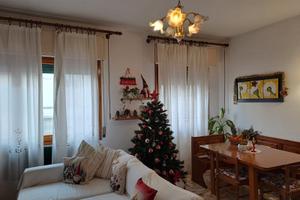 Stanza singola Zona Gavinana