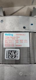 Motore elettrico WELLING YXT380-2(L)