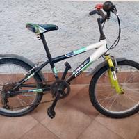 Bicicletta Eagle