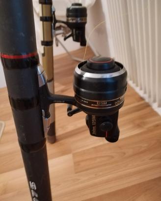 Canna  trota torrente