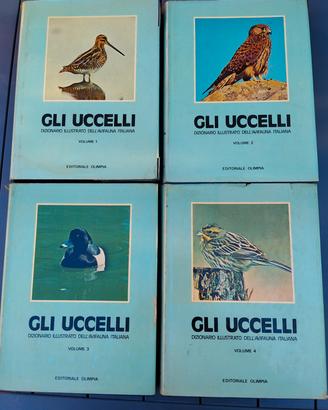 Gli Uccelli Dizionario illustrato Avifauna Italian