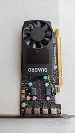 Scheda grafica Nvidia Quadro P620