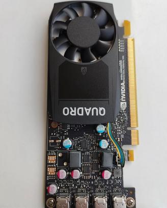 Scheda grafica Nvidia Quadro P620