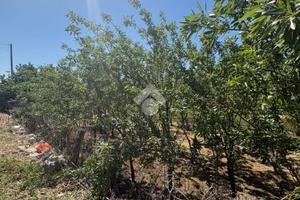 TER. RESIDENZIALE A AFRAGOLA