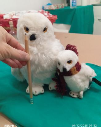 Harry Potter gufi