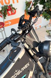 Bici elettrica