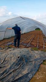 ULTIME 7 SERRE 50 X 5 E 25 X 5