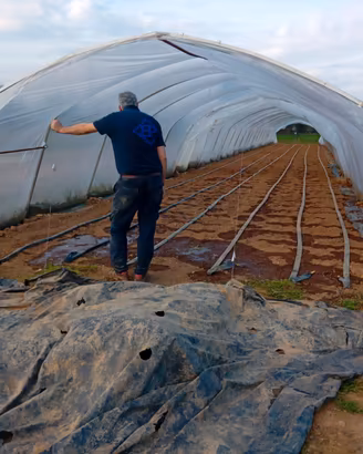 ULTIME 7 SERRE 50 X 5 E 25 X 5