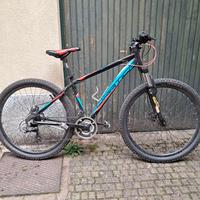 bicicletta mountainbike 