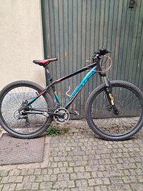 bicicletta mountainbike 