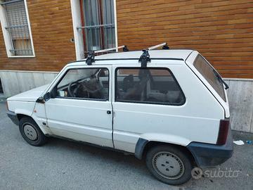 fiat panda young