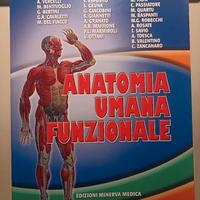 Anatomia Umana