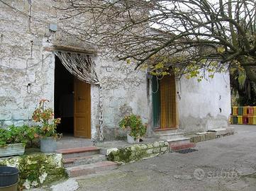 Terreni e fabbricati rurali a Pozzuoli