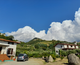 Casa con terreno