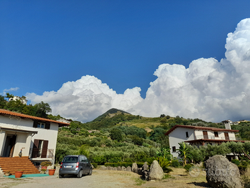 Casa con terreno