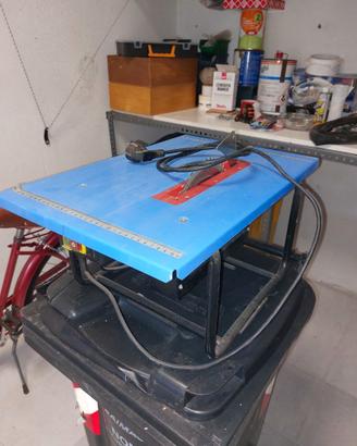 Sega circolare