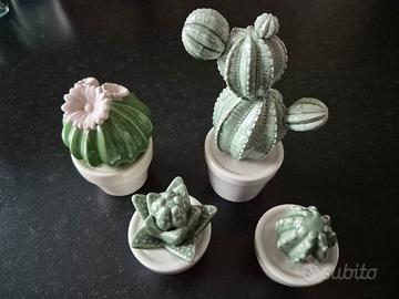 piantine grasse in ceramica