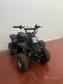 Quad 110cc