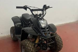 Quad 110cc